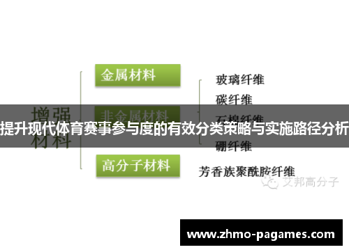 提升现代体育赛事参与度的有效分类策略与实施路径分析