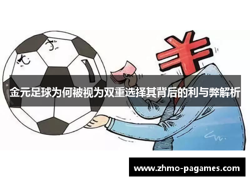 金元足球为何被视为双重选择其背后的利与弊解析