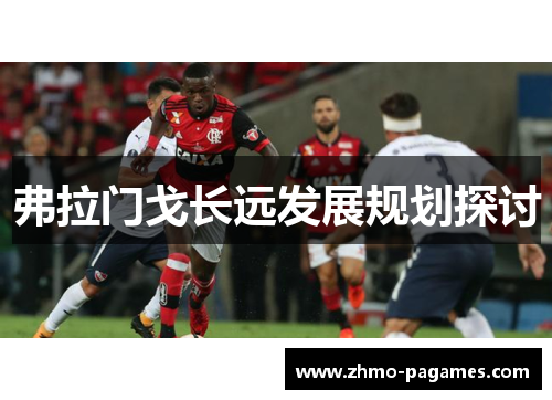 弗拉门戈长远发展规划探讨