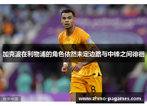 加克波在利物浦的角色依然未定边路与中锋之间徘徊 加克波在利物浦的角色依然未定边路与中锋之间徘徊