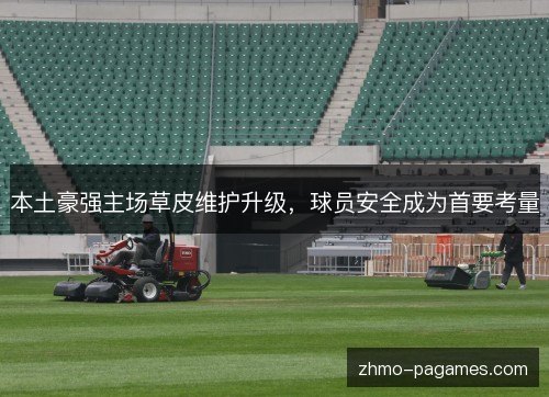 本土豪强主场草皮维护升级,球员安全成为首要考量 本土豪强主场草皮维护升级,球员安全成为首要考量