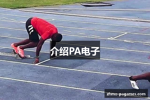 介绍PA电子